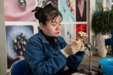 A Vietnamese woman working at the Tung Sau pearl farm in Halong Vietnam Asia clipart