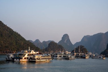 Halong Körfezi 'nde, Tonkin Körfezi' ndeki kireçtaşı kayalıkları ve tekneleri olan Halong Vietnam 'ın kuzeyinde, Asya' da.