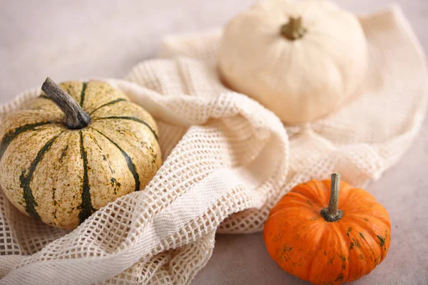 Different types pumpkins . Autumn harvest. Halloween, Thanksgiving Home decoration