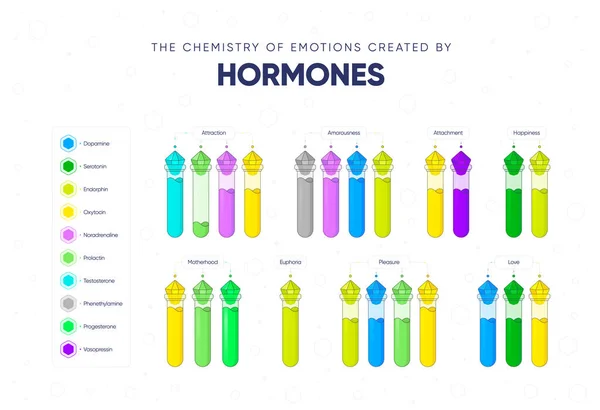 Química Las Emociones Creadas Por Las Hormonas Dependencia Del Estado Vector de stock