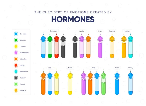 Química Las Emociones Creadas Por Las Hormonas Dependencia Del Estado Gráficos vectoriales