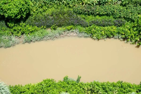 stock image river and tree top view at urban