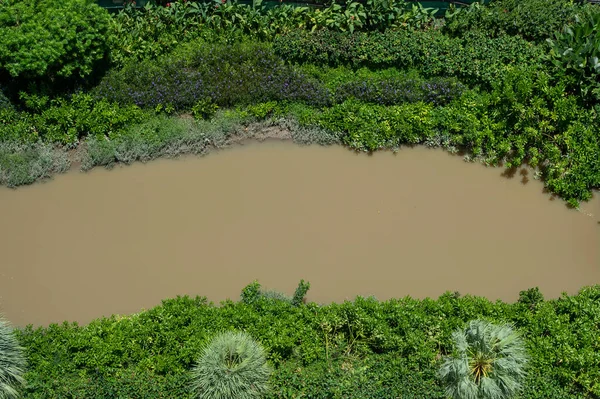 Vista Del Río Del Árbol Parte Superior Urbana — Foto de Stock