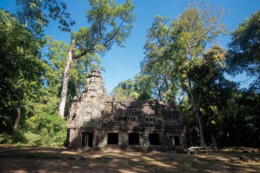 Prasat Ta Prohm, Angkor Thom, Kamboçya