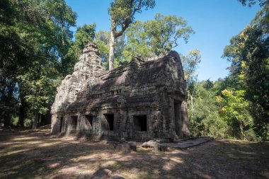 Prasat Ta Prohm, Angkor Thom, Kamboçya