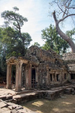 Prasat Ta Prohm, Angkor Thom, Kamboçya