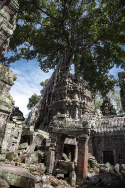 Prasat Ta Prohm, Angkor Thom, Kamboçya
