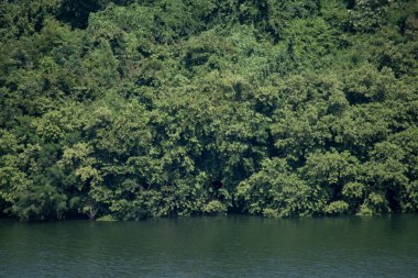Güneydoğu Asya 'da küçük bir ada