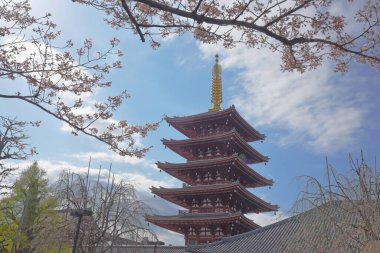 The view of  five-storey pagoda at the Sensoji Kannon temple in Asakusa, Tokyo, Japan