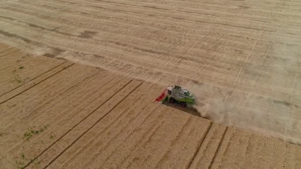 Trypillya ウクライナ 2022年7月15日 畑で収穫者を組み合わせる 収穫期だ 撮影後の空中写真 高品質4K映像 — ストック動画