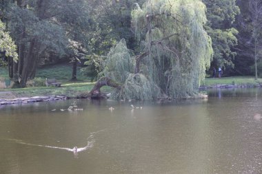 Çek Cumhuriyeti 'nin Frydlant kalesinin bahçesinde bir gölet.