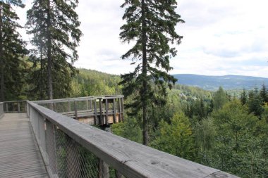 Ağaç Tepesi Yürüyüşü Krkonose, Janske Lazne, Çek Cumhuriyeti