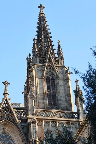 Részlet Szent Kereszt Katedrális Szent Eulália Vagy Barcelonai Katedrális Barcelona — Stock Fotó