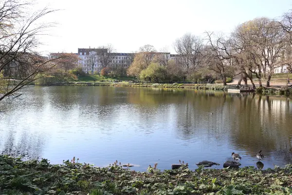 Danimarka 'nın Kopenhag şehrinde orstedsparken