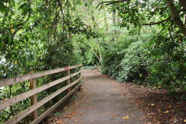 Victoria Gardens, Truro, İngiltere yolu