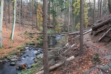 Doubrava Nehri Vadisi, Çek Cumhuriyeti