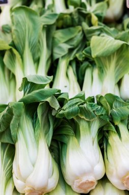 Background of bok choy or pok choi is a type of Chinese cabbage, green leaf vegetable, healthy eating.