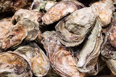 Heap of oyster shells, edible malus sea food background, abstract texture, close-up.