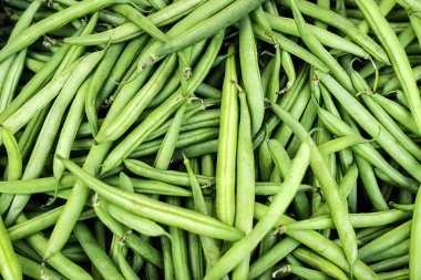Heap of fresh green beans on market or harvest, green strings vegetable background, healthy eating.