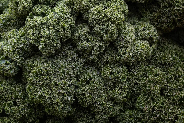 Vegetable Background Green Kale Leaf Cabbage Top View Close Stockafbeelding