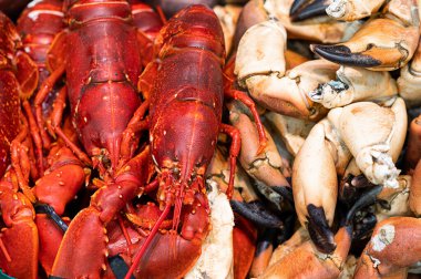 Istakoz arka planı, pişmiş langoustine ve markette deniz ürünleri, yakın plan..