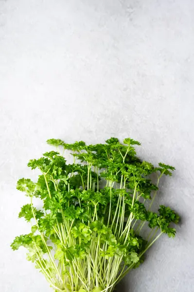 Close-up of bunch of fresh parsley or coriander on a grey background, top view.