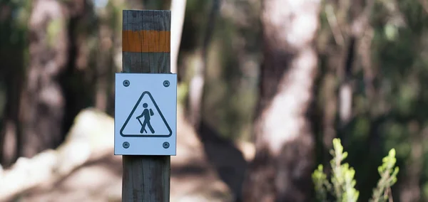Turistaösvény Jele Erdőben Fából Készült Tábla Megmutatja Turistáknak Ösvény Irányát — Stock Fotó
