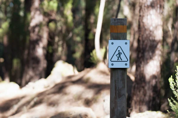 Wegweiser Für Den Wanderweg Wald Ein Hölzernes Schild Weist Touristen — Stockfoto