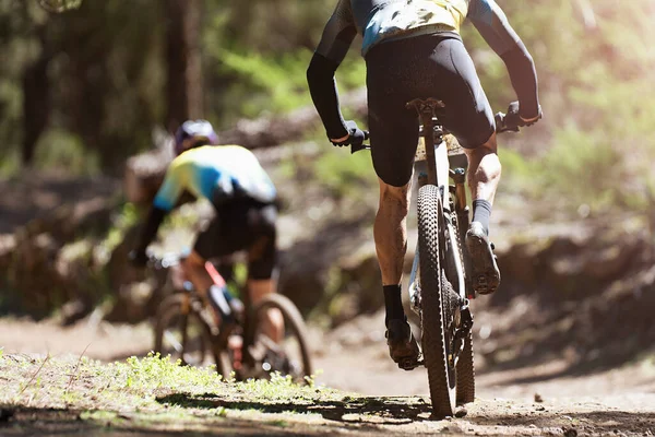 Гірські Велосипедисти Катаються Велосипеді Літніх Горах Лісовий Пейзаж — стокове фото