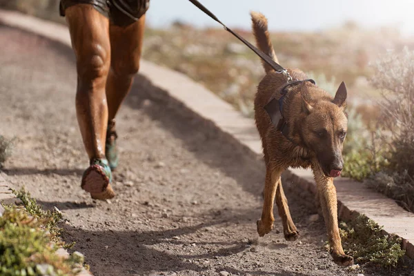 Hund Und Herrchen Nehmen Einem Beliebten Canicross Rennen Teil Canicross — Stockfoto