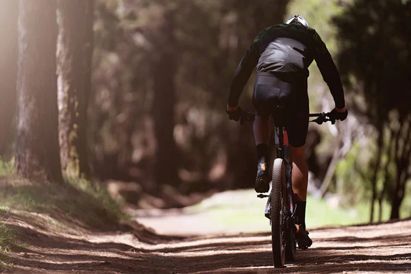 Mountain biking man riding on bike in summer mountains forest landscape