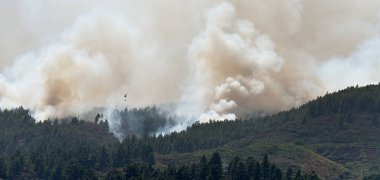 Dağda orman yangını. Yangından çıkan duman. Kırsal kesimde orman yangından çıkan dumanlar. Ormandaki yangın yayılır, doğal afet. Kuru çimenler ve yanan ağaçlar. İklim değişikliği kavramı
