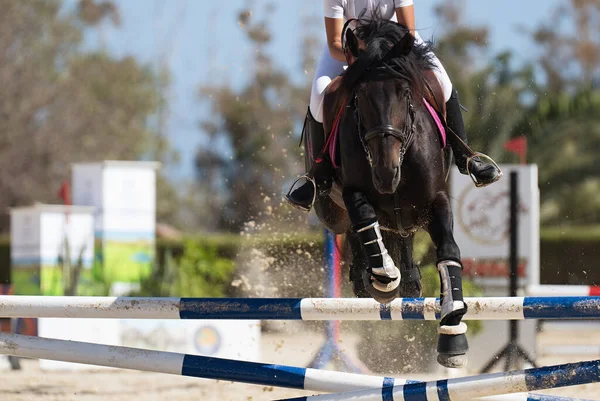 彼女の馬の上のジョッキーは 競争上のハードルを飛び越える ハードルを飛び越える ロイヤリティフリーのストック画像