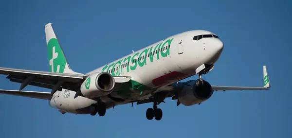 stock image Tenerife, Spain February 18 st, 2024. Boeing 737-8HX Transavia Airlines flies in the blue sky. Landing at Tenerife Airport