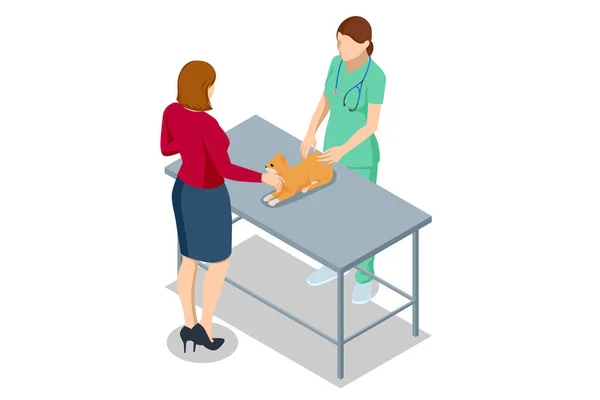 Clienti Isometrici Con Gatto Visitano Clinica Veterinaria Servizi Servizi Cliniche — Vettoriale Stock