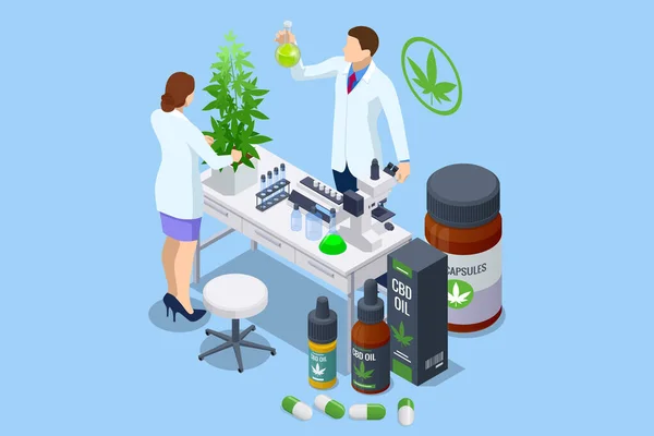 Pruebas Isométricas Brotes Cannabis Para Extracción Aceite Medicinal Medicina Alternativa — Archivo Imágenes Vectoriales