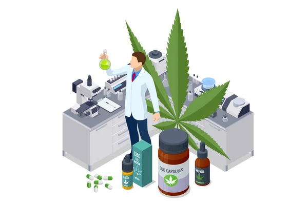 Pruebas Isométricas Brotes Cannabis Para Extracción Aceite Medicinal Medicina Alternativa — Archivo Imágenes Vectoriales