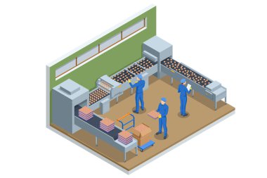 Isometric Fresh Chicken yumurtaları, modern Poulty Factory 'deki boyutlarına göre sıralanan bir taşıma bandı üzerinde hareket ediyor..