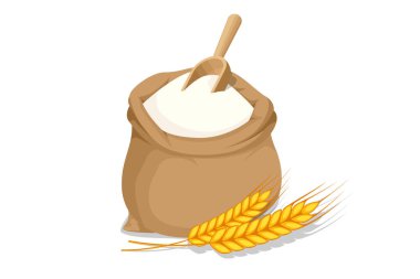 Çuvaldaki buğday unu ve beyaza izole edilmiş dikenli dikenler. Sağlıklı yemek ve diyet yiyecek unu glüten içerir.