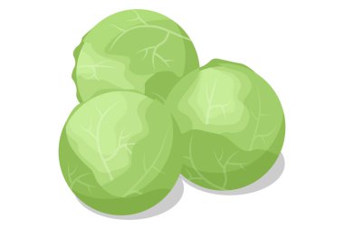 Beyaz arka planda izole edilmiş Isome beyaz lahanası. Beyaz lahana yoğun ve gevrek yapraklarıyla bilinen popüler bir sebzedir. C vitamini ve lif açısından zengin.