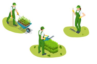 Tarım ekimi. Üç bahçıvan çiçek hazırlayıp buduyor, el arabasında saksı fideleri taşıyor ve bahçe bakımı için araç gereç kullanıyorlar..