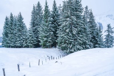 Wintry landscape on Hahnenkamm mountain in Austrian Alps in Kitzbuhel. Winter in Austria