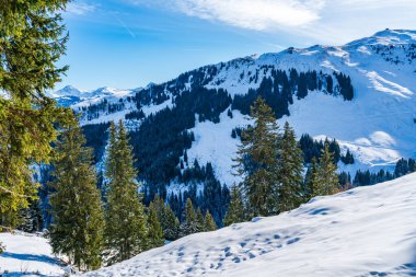 Wintry landscape on Hahnenkamm mountain in Austrian Alps in Kitzbuhel. Winter in Austria