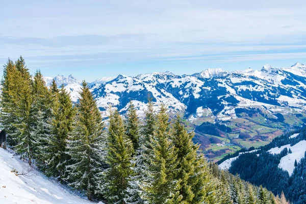 位于奥地利基茨布尔阿尔卑斯山Hahnenkamm山上的温特里景观 奥地利的冬天 — 图库照片