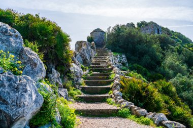 Yukarı Kaya 'daki Cebelitarık Doğal Rezervi. İngiltere