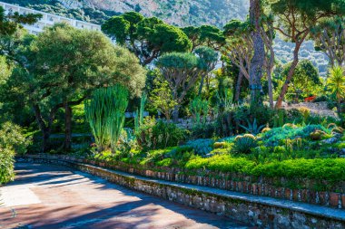 La Alameda Botanik Bahçesi Gibraltar kasabası, İngiltere