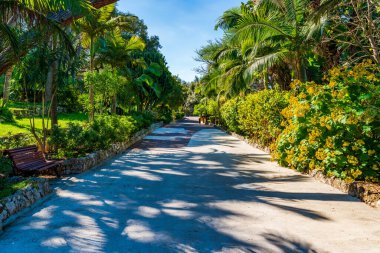 La Alameda Botanik Bahçesi Gibraltar kasabası, İngiltere