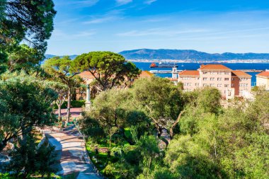 La Alameda Botanik Bahçesi Gibraltar kasabası, İngiltere
