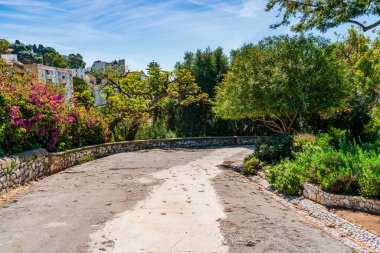 La Alameda Botanik Bahçesi Gibraltar kasabası, İngiltere