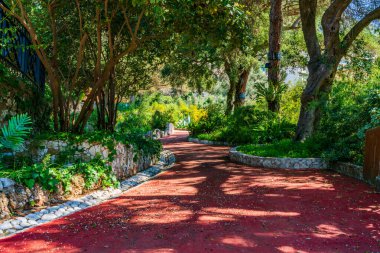 La Alameda Botanik Bahçesi Gibraltar kasabası, İngiltere